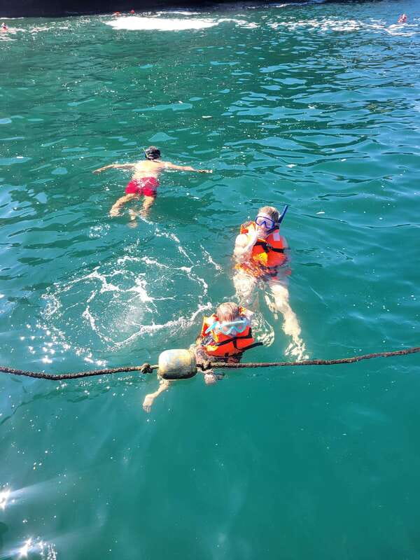 Puerto Vallarta: 3-Hour Whale Watching and Snorkeling - Why humpback season gives this trip its purpose