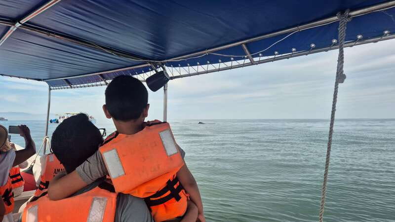 Puerto Vallarta: 3-Hour Whale Watching and Snorkeling - Smart ways to make the outing better