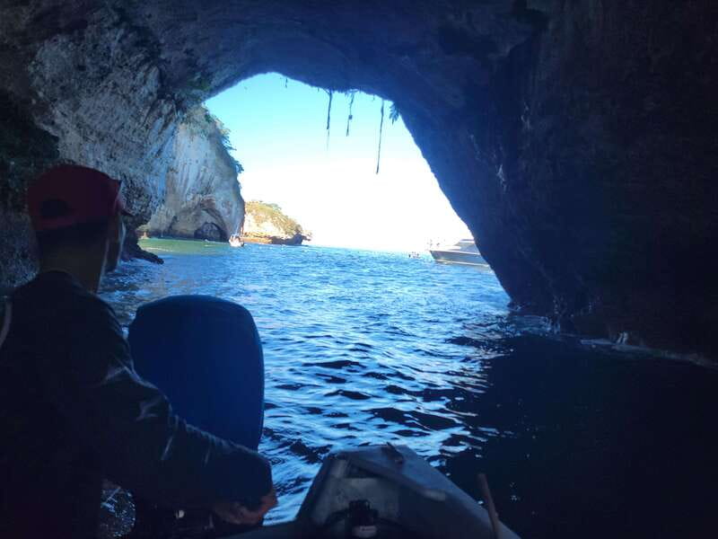 Puerto Vallarta: 3-Hour Whale Watching and Snorkeling - Should you book the Puerto Vallarta whale-watching tour?