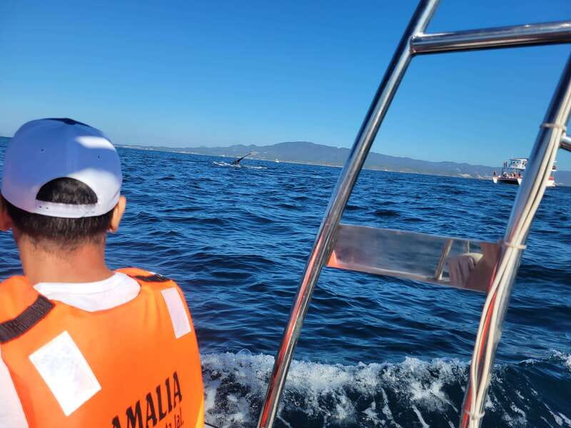 Puerto Vallarta: 3-Hour Whale Watching and Snorkeling - Leaving the marina and getting settled