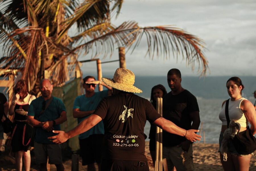 Puerto Vallarta: Baby Turtle Release in Conservation Area - Key points to know