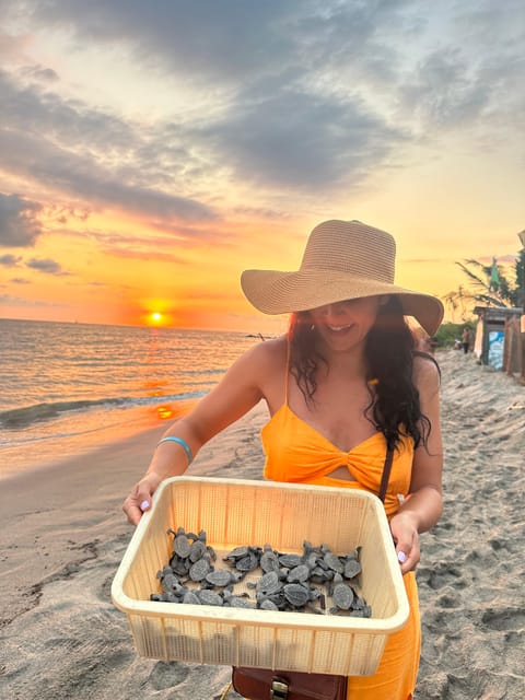 Puerto Vallarta: Baby Turtle Release in Conservation Area - Forty-five minutes of turtle conservation lessons