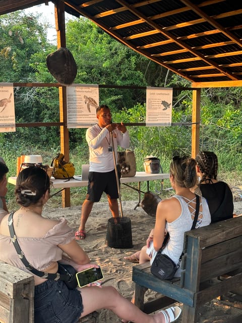 Puerto Vallarta: Baby Turtle Release in Conservation Area - Seeing the incubation work up close