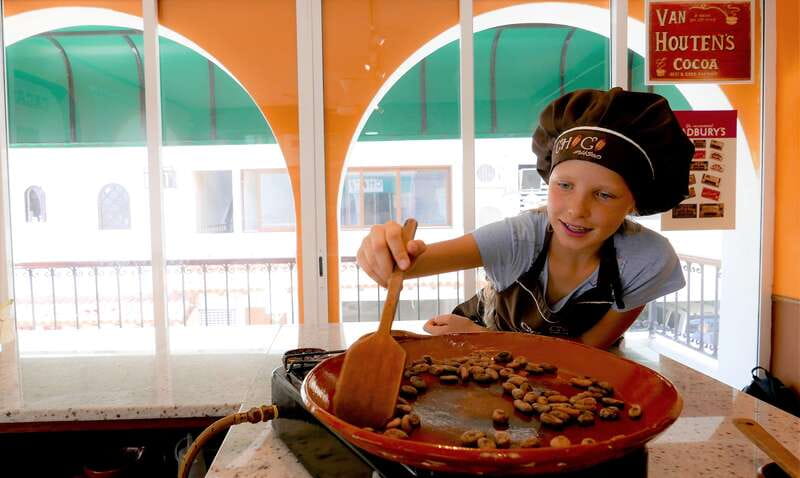 Puerto Vallarta: Bean to Bar Chocolate Workshop - Key points at a glance