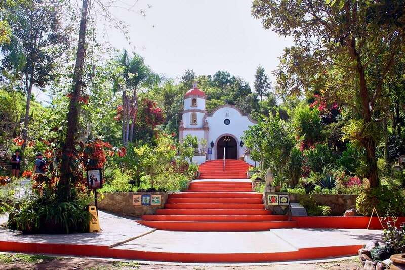 Puerto Vallarta: Botanical Gardens, Distillery & Coffee Tour - Why the botanical gardens deserve the first half of your day