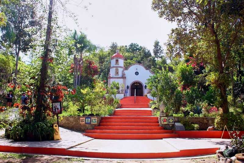 Puerto Vallarta: Botanical Gardens, Distillery & Coffee Tour - Who will enjoy this tour most