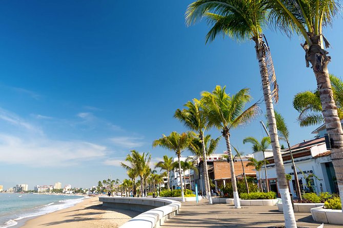 Puerto Vallarta City Tour - The artisans’ market and souvenir shopping