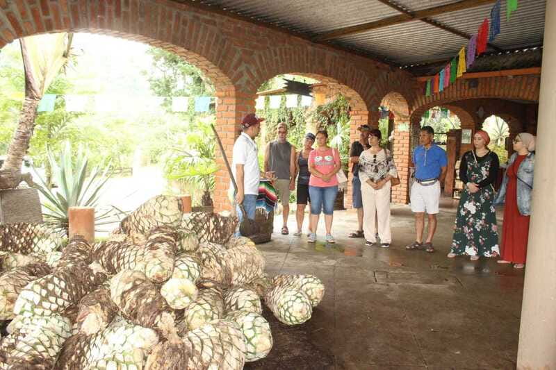 Puerto Vallarta: City Tour, Tequila and Coffee Factory Tour - A useful first look at Puerto Vallarta