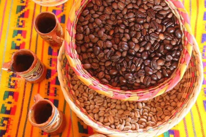 Puerto Vallarta: City Tour, Tequila and Coffee Factory Tour - Coffee tasting, with realistic expectations