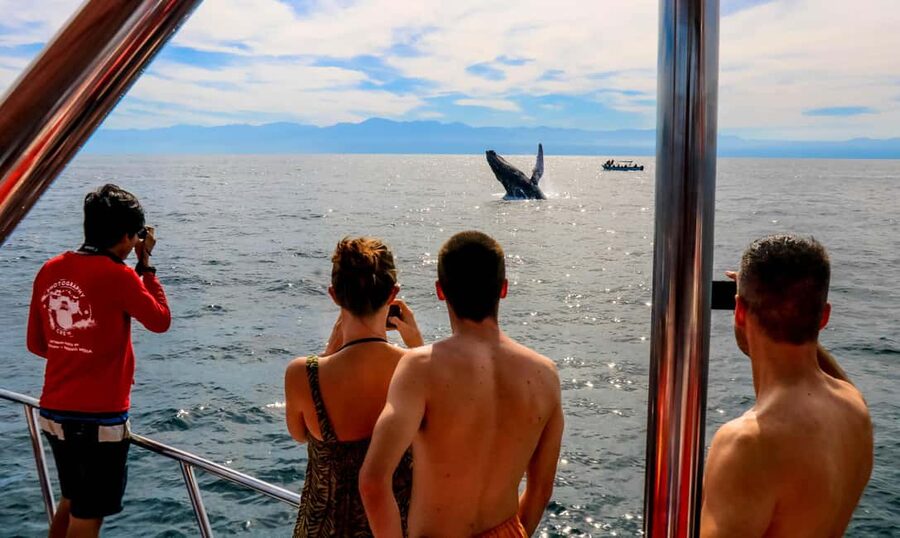 Puerto Vallarta: Mega Yacht Whale Watching Sunset Cruise - Starting from Chica Locca’s two Puerto Vallarta-area piers