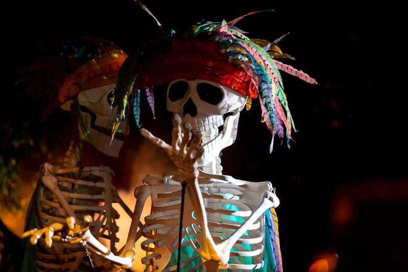 Puerto Vallarta Rhythms of the night, Show & Buffet dinner - FAQ
