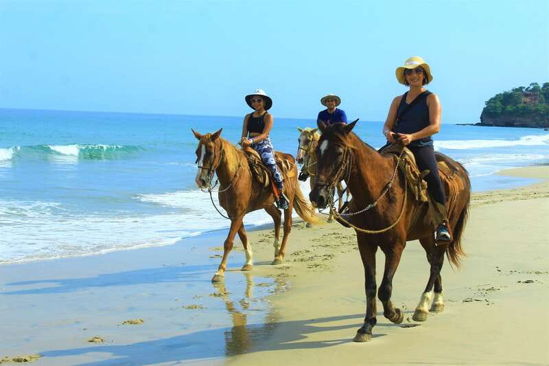 Punta de Mita/Sayulita: Horseback Riding Tour - FAQ