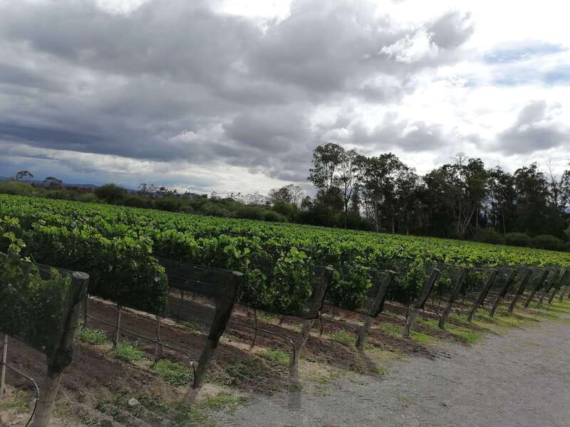 Querétaro: Haciendas, Vineyards, and Magical Towns Day Trip - Booking details and practical value