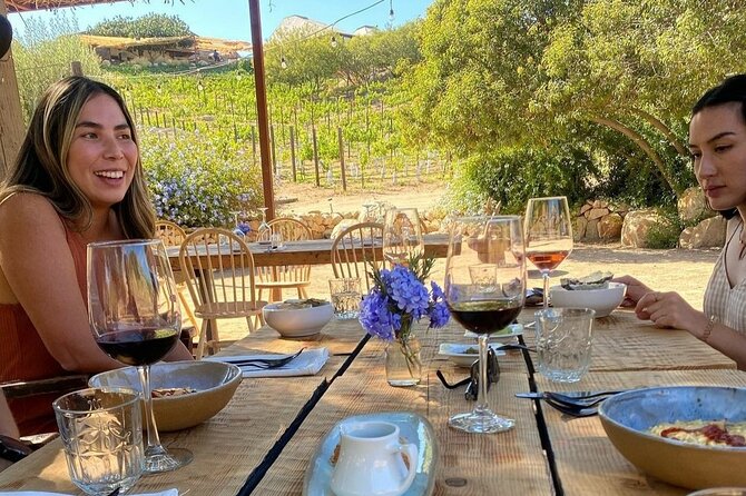 Quiero mas vino, valle de Guadalupe Tours - Bodegas Magoni opens the wine route
