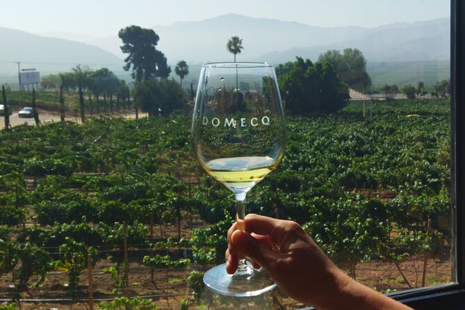 Quiero mas vino, valle de Guadalupe Tours - Decantos Vinicola combines wine and photographs