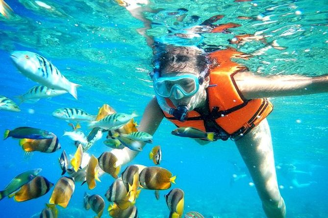 Reef Snorkeling in National Park from Cancun with Beachside Lunch - Staying together in the water
