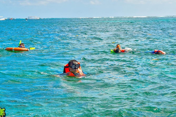 Reef Snorkeling in National Park from Cancun with Beachside Lunch - Who will enjoy this outing most?
