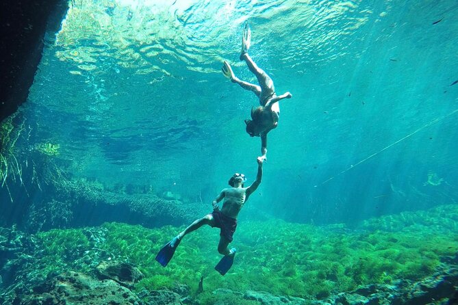 Ride to a life changing cenotes tour - The bicycle ride through Chemuyil and the jungle