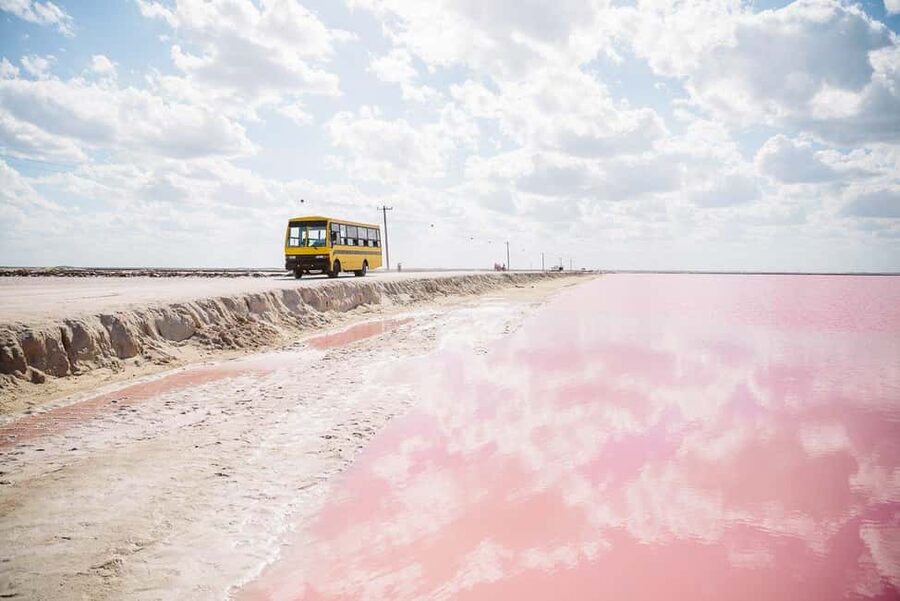 Rio Lagartos and Las Coloradas: Safari Flamingo Luxury - Who should book this excursion