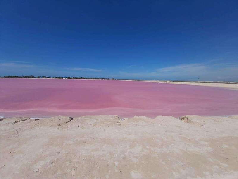 Rio Lagartos and Las Coloradas: Safari Flamingo Luxury - Crocodile watching in the wild
