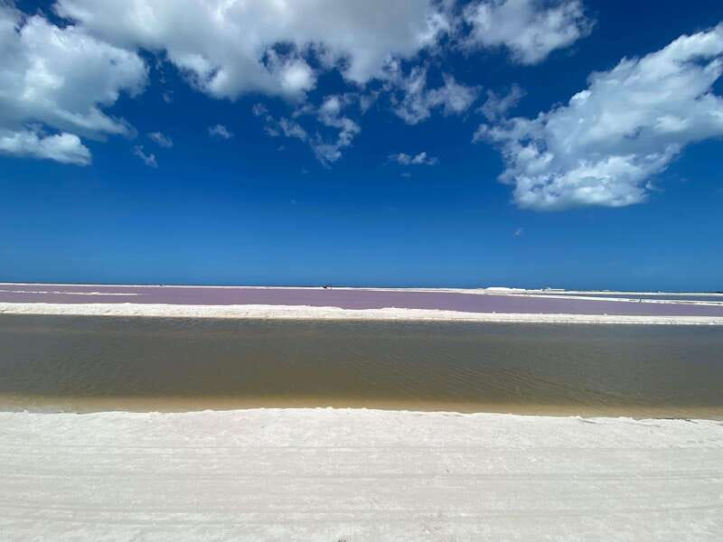 Río Lagartos and Las Coloradas: Wildlife Natural Experience - Key things to know before you book