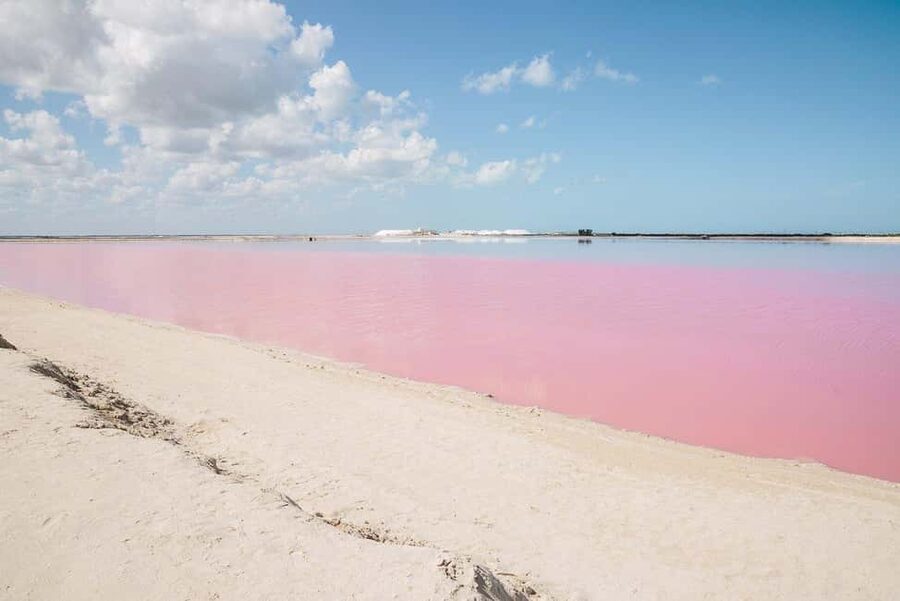 Río Lagartos and Las Coloradas: Wildlife Natural Experience - Watching crocodiles and birds from the boat