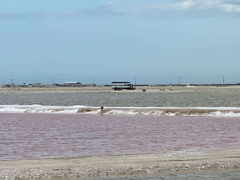 Río Lagartos and Las Coloradas: Wildlife Natural Experience - Flamingos in the Río Lagartos wetlands