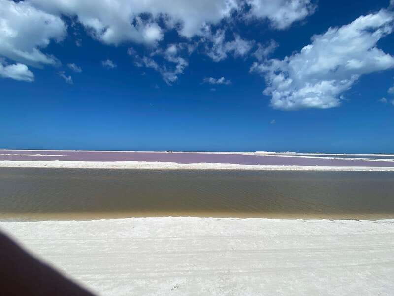 Río Lagartos and Las Coloradas: Wildlife Natural Experience - Cenote swim, fish spa, and Mayan clay bath