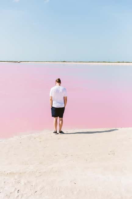 Río Lagartos and Las Coloradas: Wildlife Natural Experience - Mangroves and the final beach stop