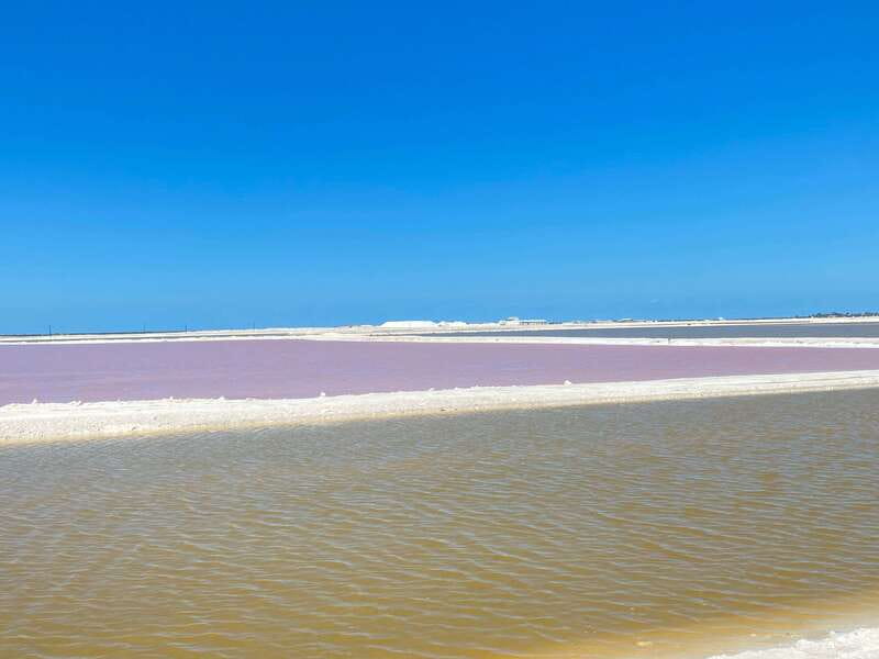 Río Lagartos and Las Coloradas: Wildlife Natural Experience - What the 3,500 MXN group price really means