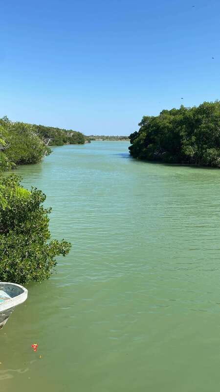Río Lagartos and Las Coloradas: Wildlife Natural Experience - Starting at Macumba in Río Lagartos