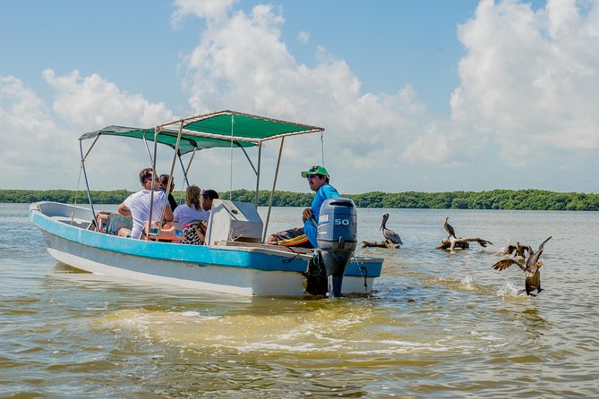 Rio Lagartos guided boat tour- Ek Balam from Valladolid - Lunch arrives at the right moment