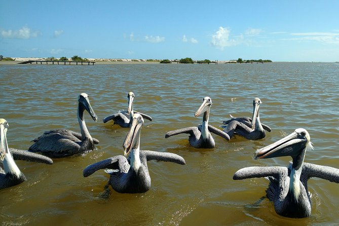 Rio Lagartos guided boat tour- Ek Balam from Valladolid - Xcanche cenote is the alternate finish