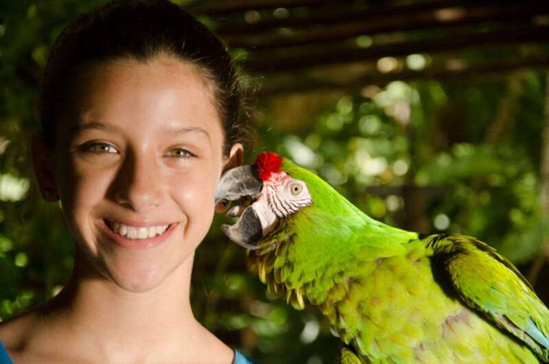 Riviera Maya: Croco Cun Interactive Zoo Tour - A close look at Croco Cun’s animal encounters