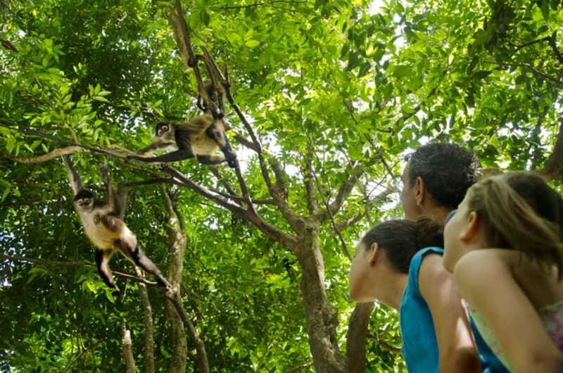 Riviera Maya: Croco Cun Interactive Zoo Tour - What happens during the one-hour guided tour