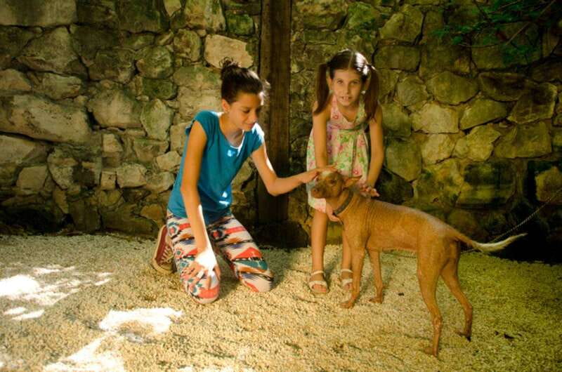 Riviera Maya: Croco Cun Interactive Zoo Tour - Feeding time and the $2 food bags