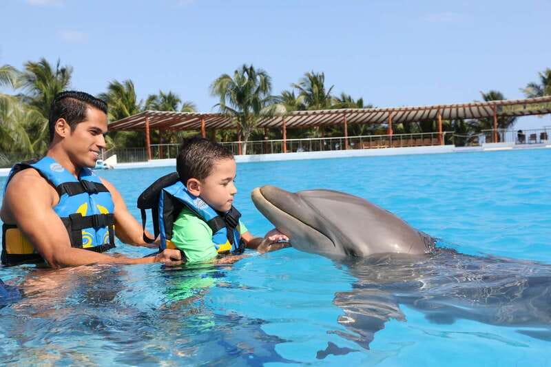 Riviera Maya: Dolphin Encounter with Beach Club Access - Key points to know before booking