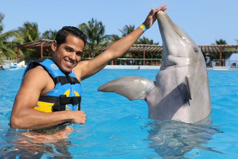 Riviera Maya: Dolphin Encounter with Beach Club Access - What the day at Dolphin Discovery Maroma is really like