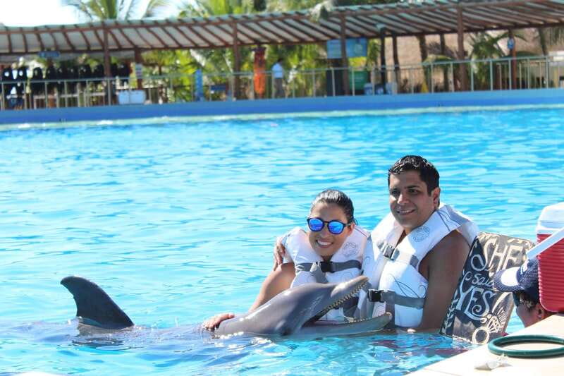 Riviera Maya: Dolphin Encounter with Beach Club Access - Thirty minutes on the underwater platform