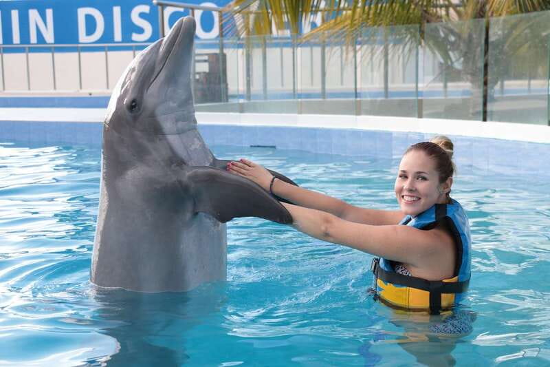 Riviera Maya: Dolphin Encounter with Beach Club Access - Family rules are more detailed than they first appear