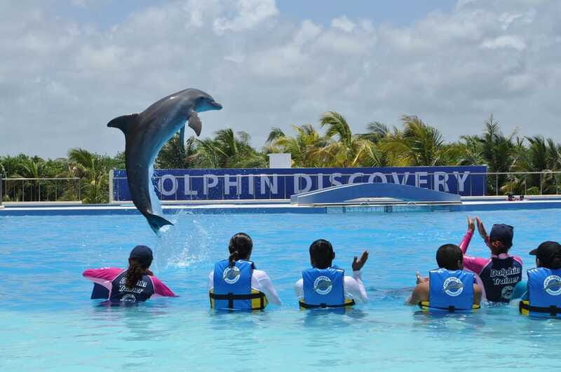 Riviera Maya: Dolphin Encounter with Beach Club Access - Who will enjoy this most