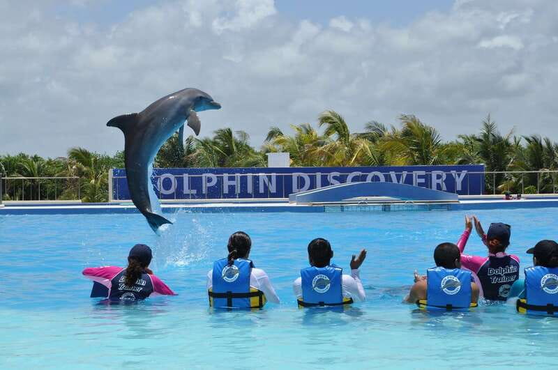 Riviera Maya: Dolphin Encounter with Beach Club Access - The 15-minute briefing sets the tone