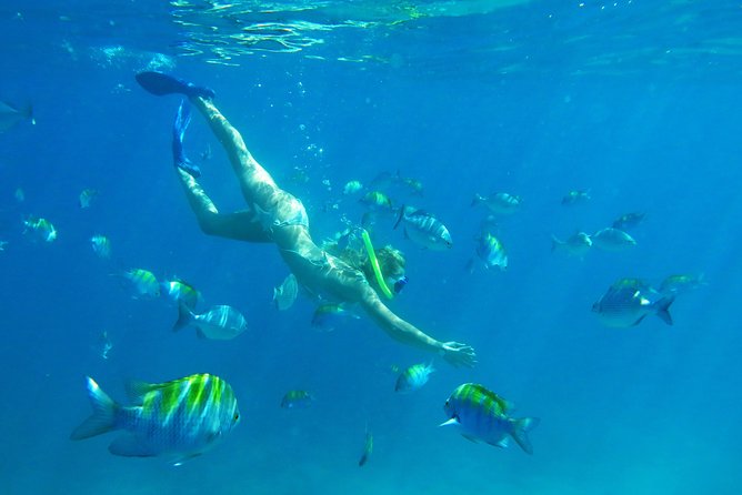 Riviera Maya Luxury Snorkeling Cruise with Lunch and Drinks - The real value of $139