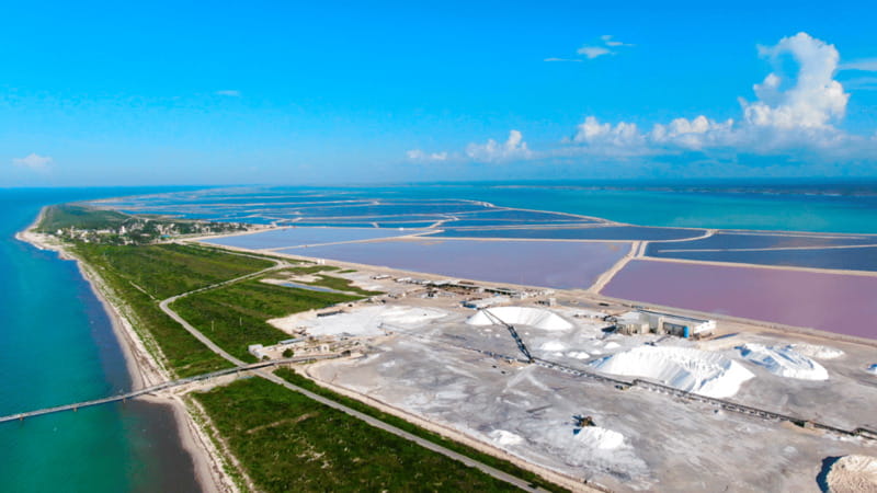 Riviera Maya: Rio Lagartos & Las Coloradas Day Trip w/Lunch - Should you book Rio Lagartos and Las Coloradas?