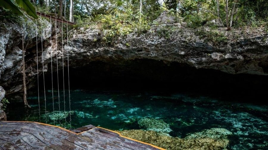 Riviera Maya: Tulum Ruins and 2 Cenotes Half-Day Tour - Cenote Chen-Ha: a different kind of water stop