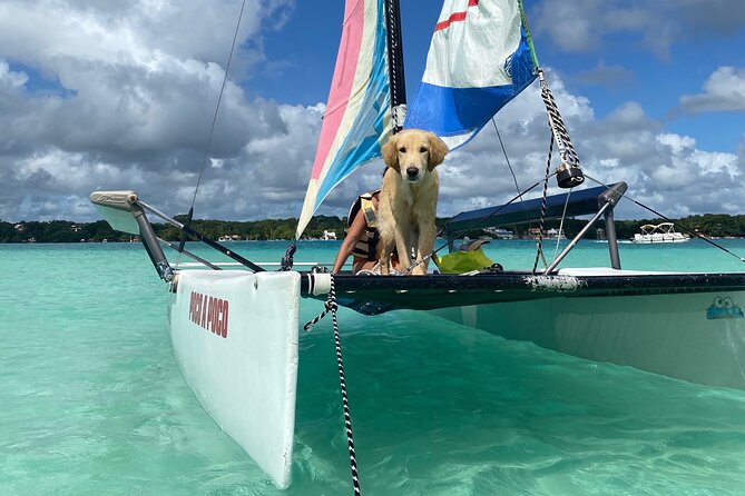 Sail away! Hobie Cat Tour Bacalar - Why sailing Bacalar by Hobie Cat feels different