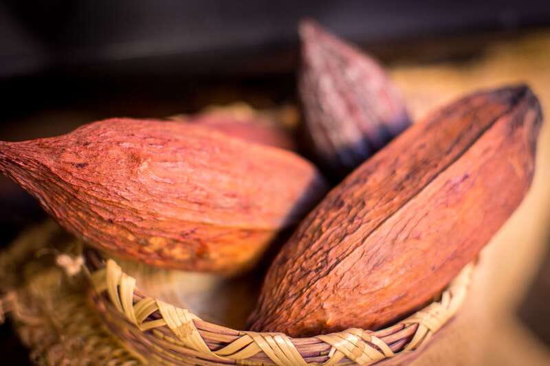 San Miguel de Allende: Chocolate Tasting and Walking Tour - The five tasting stops, from sweet to savory
