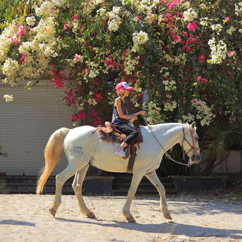 Sayulita: Horseback Riding Tour - Key points to know before booking