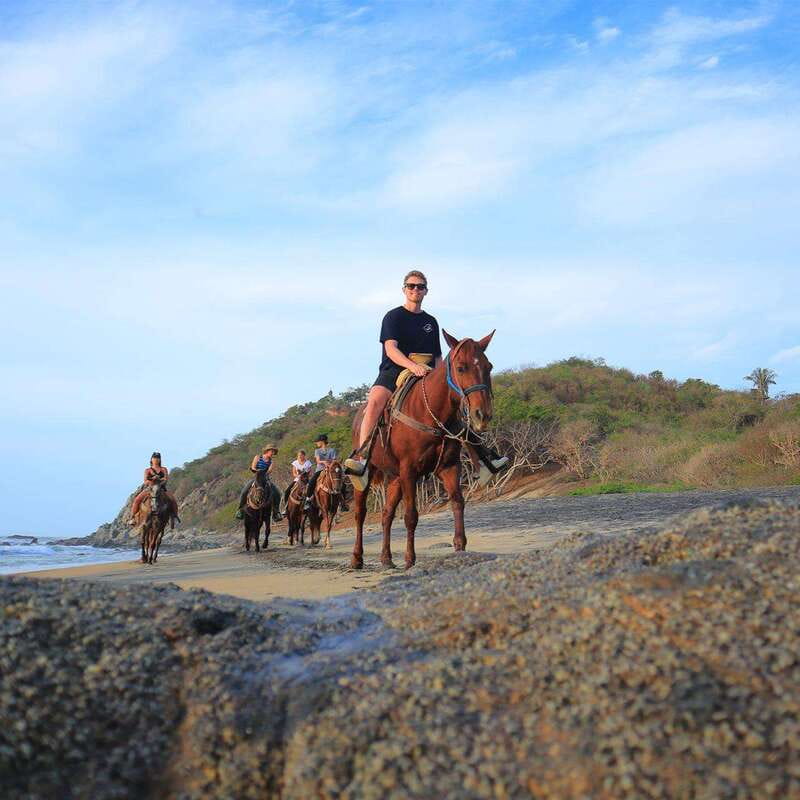 Sayulita: Horseback Riding Tour - The horses and the people handling them