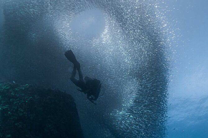 Scuba Diving - What is included, and what you need to arrange